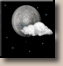 Friday Night: Mostly Clear